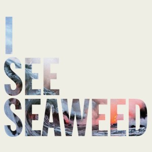 The Drones I See Seaweed